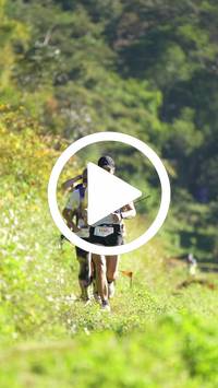 BIB:  <button type="button" onclick="openModal(26576339)" class="btn btn-primary btn-sm float-right" data-toggle="modal" data-target=".modal-high-quality">
                <i class="fa fa-download"></i> Download
                </button>